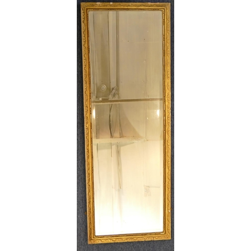 970 - A Gilt Hanging Rectangular Shaped Bevelled Wall Mirror with raised scroll rim, 1m 37.5cm high, 50cm ... 