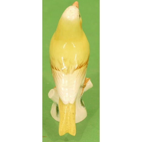 174 - A Meissen Figure of a perched yellow canary (tail wing restored) 11cm high.