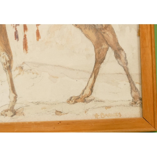 231 - A Barnes, Arabic Watercolour depicting figures on camels, signed, in pine frame, 24.5cm x 34.5cm.