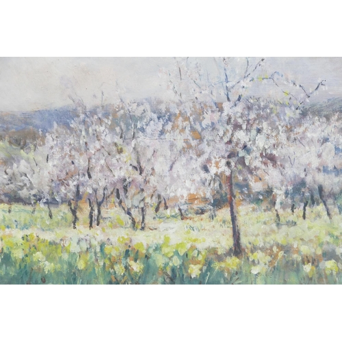 234 - An Oil on Board depicting blossom in trees, unsigned, in gilt frame, 17cm x 23.5cm.