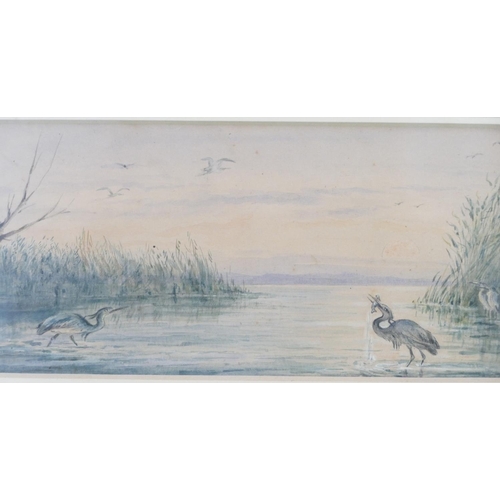 236 - A Watercolour depicting storks on riverbank, signed, in gilt frame, 10cm x 27cm, also another waterc... 