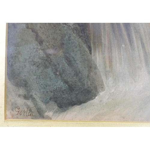 238 - A Watercolour depicting wooded waterfall indistinctly signed 