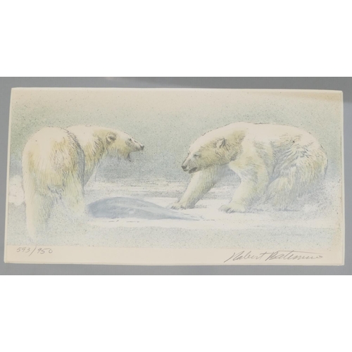 277 - Robert Bateman, 3 Coloured Prints depicting polar bears, all signed in pencil and numbered 593/950, ... 