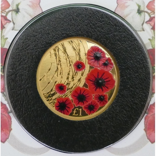 484 - A 2019 Centenary of Remembrance Gold Proof £1 Coin Cover, limited edition 99, with certificate, moun... 