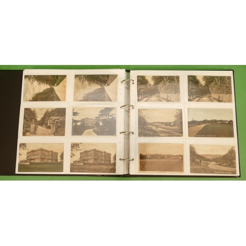 811 - A Large Album of Local Dorking Postcards, Mill pond, High street, Brockham green, Buckland village, ... 