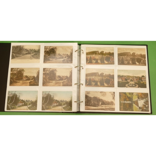 811 - A Large Album of Local Dorking Postcards, Mill pond, High street, Brockham green, Buckland village, ... 