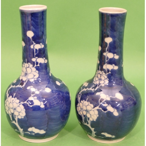 129 - A Pair of 19th Century Chinese Round Bulbous Thin Necked Vases on blue and white ground with blossom... 