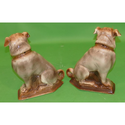 139 - A Pair of China Figures of seated pug dogs on brown ground having gilt decoration, 30cm high.