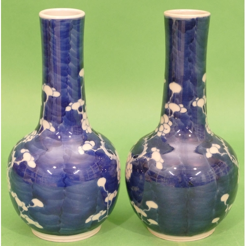 129 - A Pair of 19th Century Chinese Round Bulbous Thin Necked Vases on blue and white ground with blossom... 