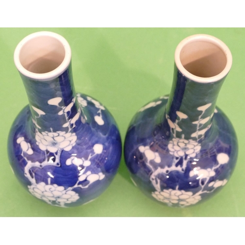 129 - A Pair of 19th Century Chinese Round Bulbous Thin Necked Vases on blue and white ground with blossom... 