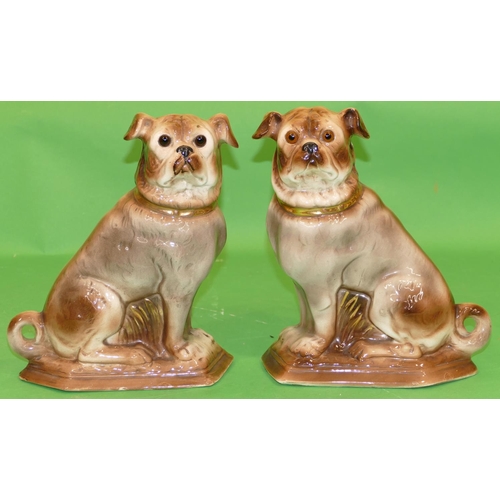 139 - A Pair of China Figures of seated pug dogs on brown ground having gilt decoration, 30cm high.