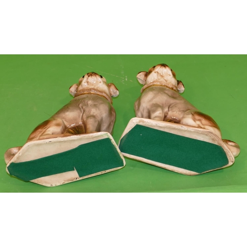 139 - A Pair of China Figures of seated pug dogs on brown ground having gilt decoration, 30cm high.