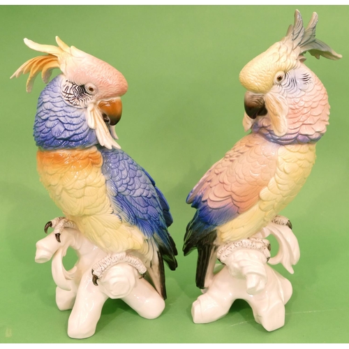 4 - A Pair of Karl Ens China Figures of cockatoos on multicoloured ground, largest 35.5cm high.