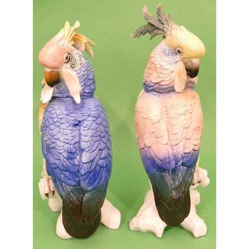 4 - A Pair of Karl Ens China Figures of cockatoos on multicoloured ground, largest 35.5cm high.