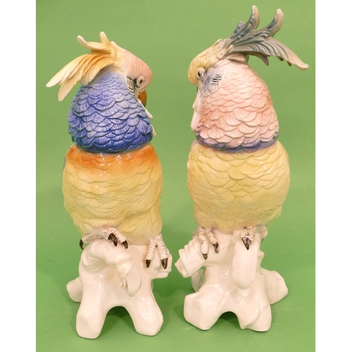 4 - A Pair of Karl Ens China Figures of cockatoos on multicoloured ground, largest 35.5cm high.