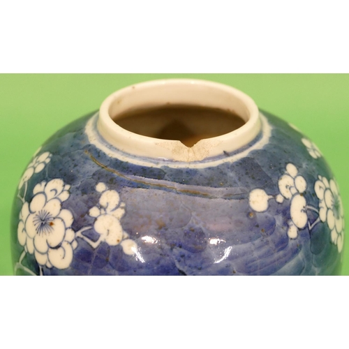 97 - A 19th Century Chinese Round Bulbous Ginger Jar on blue and white ground having blossom and branch d... 