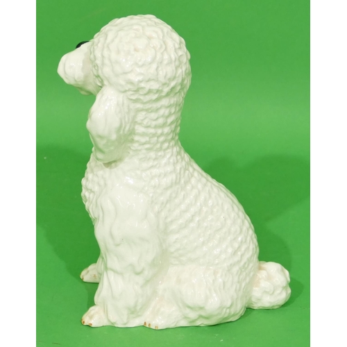 152 - A Sylvac China Figure of a seated poodle on white ground, 21cm high.