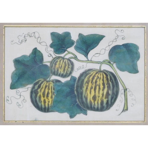 204 - A Pair of Oriental Rice Pictures depicting fruit, in black frames, largest 15cm x 23.5cm, also T Nak... 