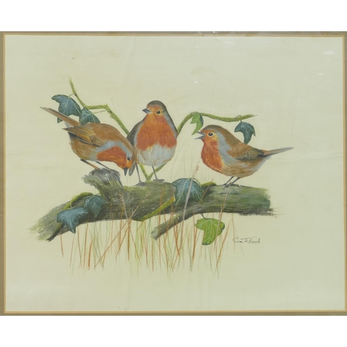 208 - Rex Flood, 3 x Pastels depicting various perched birds, all signed and framed, largest 36.5cm x 46cm... 