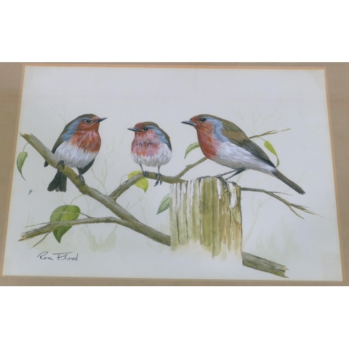 208 - Rex Flood, 3 x Pastels depicting various perched birds, all signed and framed, largest 36.5cm x 46cm... 