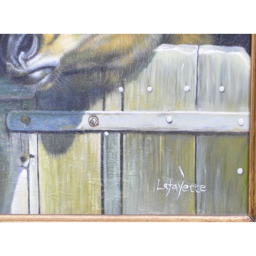 234 - Lafayette, Oil on Canvas depicting horse and foal at stable door, signed, in gilt frame, 60cm x 50cm... 