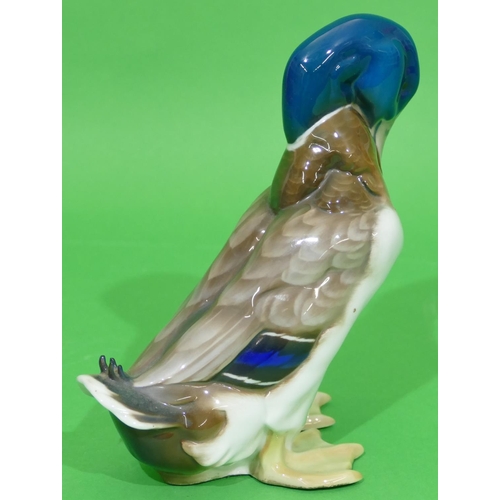 9 - A Rosenthal China Figure of a standing duck, 19.5cm high.