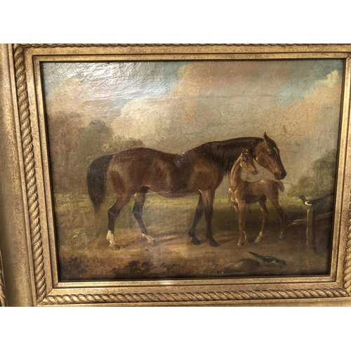 161 - A 19th Century small oil on canvas after John Ferneley Junior depicting horse and foal, unsigned, in... 