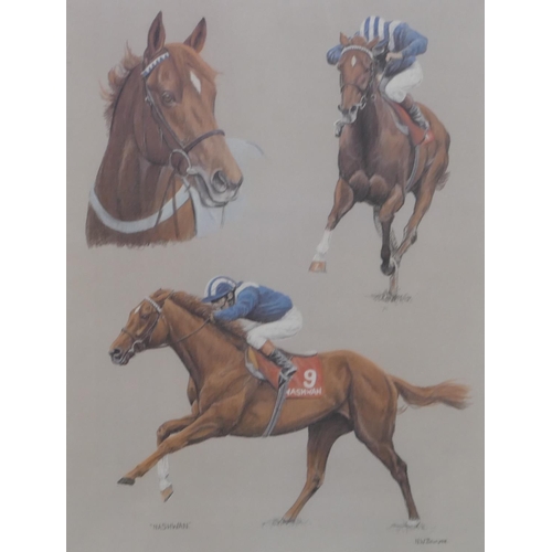 204 - NW Brunyee signed limited edition coloured racing print 