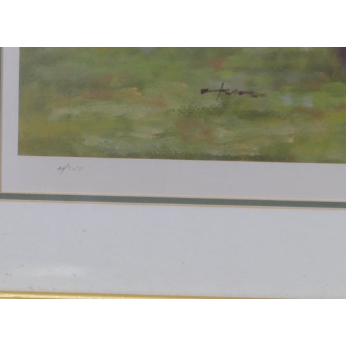 208 - Graham Isom signed limited edition coloured racing print, signed in pencil and no.46/350, framed, 54... 