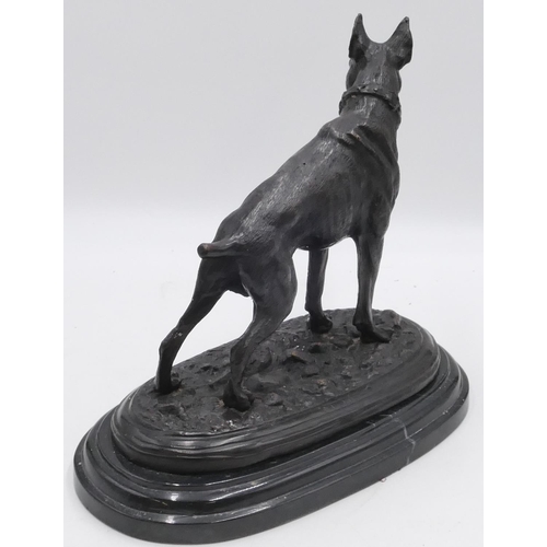 704 - A bronze figure of a standing bulldog, on black oblong base, 27.5cm high, 33cm wide.