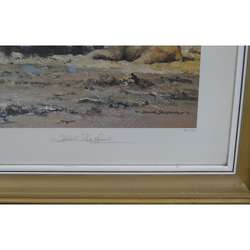 131 - David Shepherd signed limited edition coloured print 