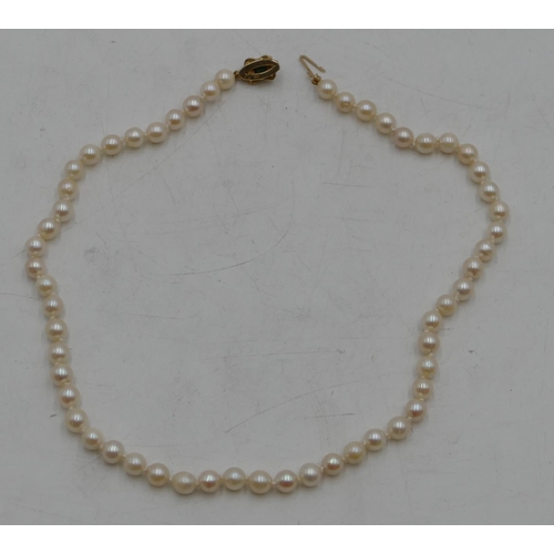 496 - A cultured pearl necklace with 9ct gold clasp, 41cm long.