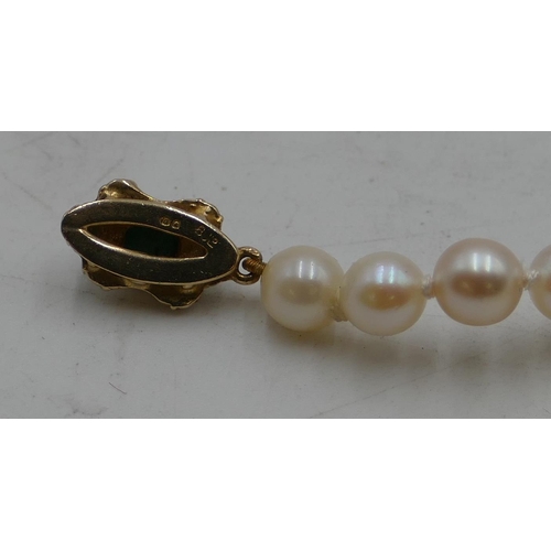 496 - A cultured pearl necklace with 9ct gold clasp, 41cm long.