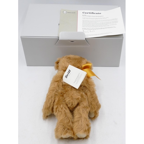 709 - A modern Steiff teddy bear 