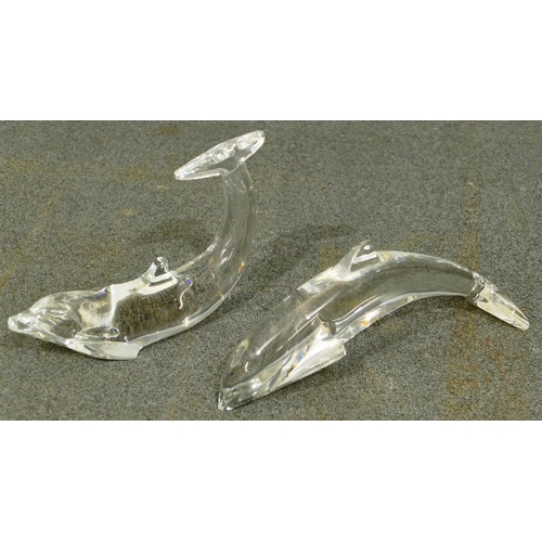 107 - 2 Baccarat clear glass models of dolphins, largest 16cm long. (2)