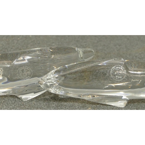 107 - 2 Baccarat clear glass models of dolphins, largest 16cm long. (2)