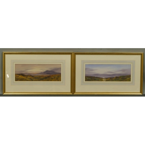 249 - A pair of watercolours depicting heathland, both indistinctly signed, in gilt frames, 13 x 35.5cm.