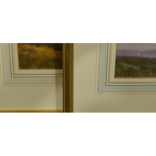 249 - A pair of watercolours depicting heathland, both indistinctly signed, in gilt frames, 13 x 35.5cm.