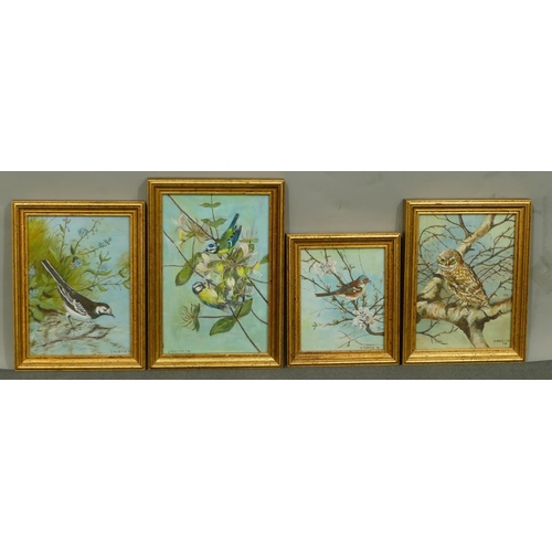 252 - D Martin, 4 oil on boards depicting various birds, all signed and dated '78/9, in gilt frames, large... 