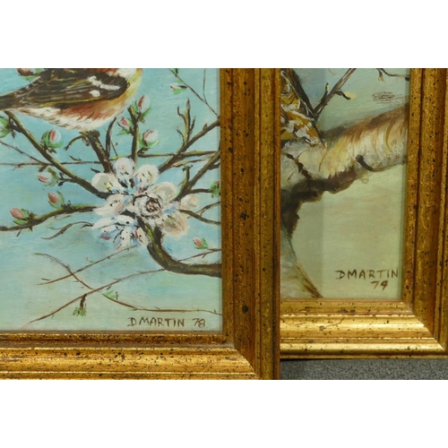 252 - D Martin, 4 oil on boards depicting various birds, all signed and dated '78/9, in gilt frames, large... 