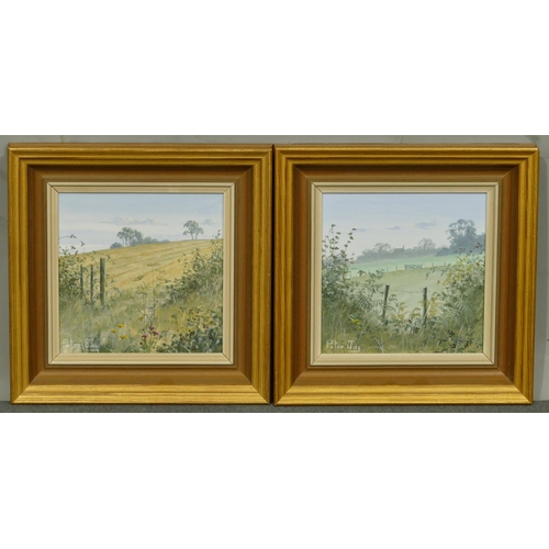 253 - Peter Jay, pair of oil on boards, country landscapes with wild flowers, both signed, in gilt frames,... 