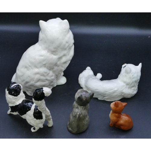 32 - A Royal Doulton figure of a black and white cat, 12.5cm wide and 4 various Beswick figures of cats. ... 