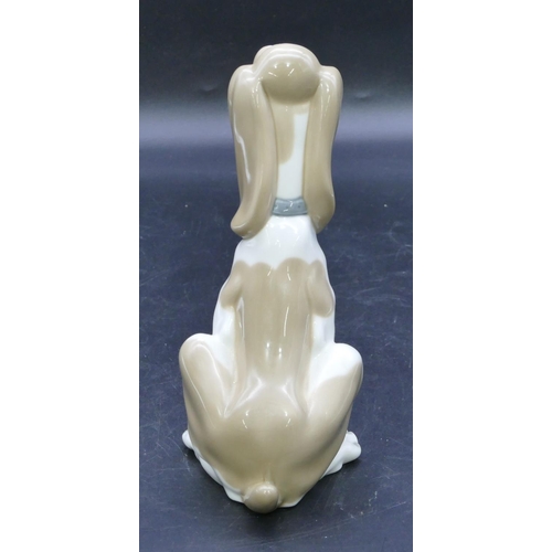 52 - A Nao figure of a seated dog on white and brown ground, 19cm high.