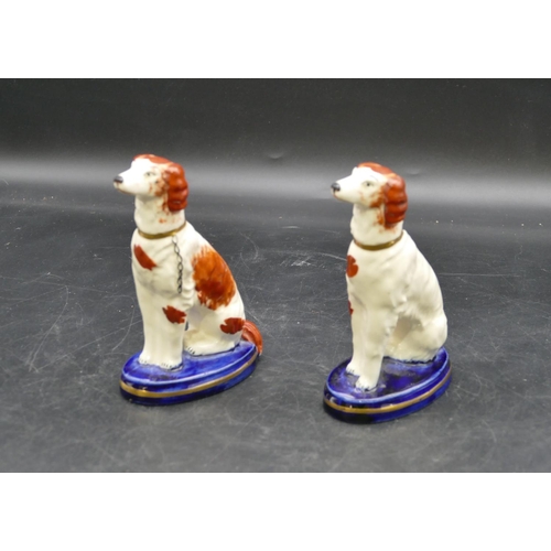 11 - A pair of Staffordshire style figures of seated dogs on white and blue ground with blue oval bases, ... 