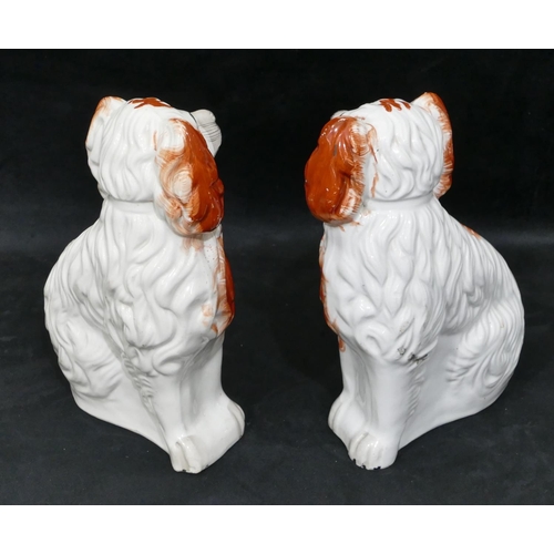 126 - A pair of 19th Century Staffordshire figures of seated spaniels on white and red ground, painted eye... 