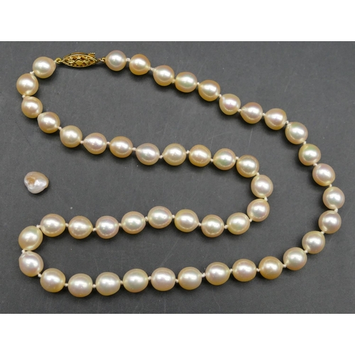 613 - A cultured pearl bead necklace with 9ct gold clasp, 46cm long, a single loose pearl