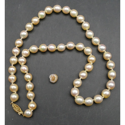 613 - A cultured pearl bead necklace with 9ct gold clasp, 46cm long, a single loose pearl