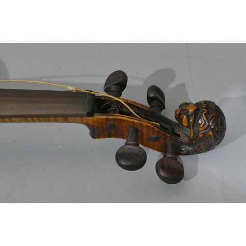 681 - A 2-piece back violin with carved head in the form of an animal, back 35.5cm, with bow, cased.