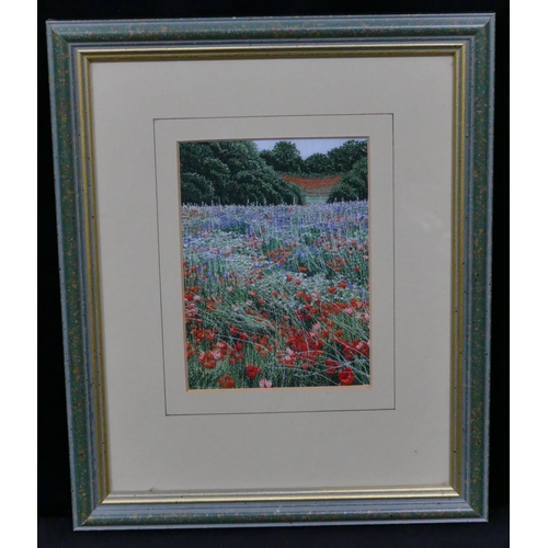 752 - A Woolwork picture depicting poppies in open field, mounted in a green frame, 14cm x 10cm