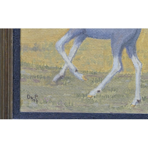 179 - Mary Du Pontet oil on board depicting foal in open landscape, monogrammed and dated 76 in gilt frame... 